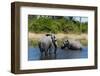 African Elephant (Loxodonta Africana), Khwai Concession, Okavango Delta, Botswana, Africa-Sergio-Framed Photographic Print