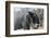 African Elephant (Loxodonta Africana), Khwai Concession, Okavango Delta, Botswana, Africa-Sergio Pitamitz-Framed Photographic Print