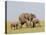 African Elephant (Loxodonta Africana), Masai Mara, Kenya, East Africa, Africa-Sergio Pitamitz-Stretched Canvas