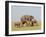 African Elephant (Loxodonta Africana), Masai Mara, Kenya, East Africa, Africa-Sergio Pitamitz-Framed Photographic Print