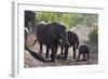 African Elephant (Loxodonta Africana), Mashatu Game Reserve, Botswana, Africa-Sergio-Framed Photographic Print