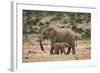 African Elephant (Loxodonta Africana) Mother and Baby-James Hager-Framed Photographic Print