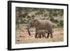 African Elephant (Loxodonta Africana) Mother and Baby-James Hager-Framed Photographic Print