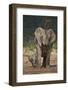 African Elephant (Loxodonta Africana) Mother Showering-James Hager-Framed Photographic Print
