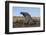 African elephant (Loxodonta africana) mudbathing, Chobe River, Botswana, Africa-Ann and Steve Toon-Framed Photographic Print