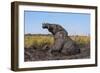 African elephant (Loxodonta africana) mudbathing, Chobe River, Botswana, Africa-Ann and Steve Toon-Framed Photographic Print