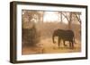 African Elephant (Loxodonta Africana), Okavango Delta, Botswana, Africa-Sergio Pitamitz-Framed Photographic Print