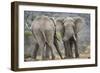 African Elephant (Loxodonta Africana) Two Bulls, Chyulu Hills, Kenya-Wim van den Heever-Framed Photographic Print