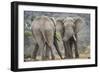 African Elephant (Loxodonta Africana) Two Bulls, Chyulu Hills, Kenya-Wim van den Heever-Framed Photographic Print