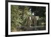 African Elephant (Loxodonta Africana), Zambia, Africa-Janette Hill-Framed Photographic Print