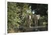 African Elephant (Loxodonta Africana), Zambia, Africa-Janette Hill-Framed Photographic Print