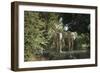 African Elephant (Loxodonta Africana), Zambia, Africa-Janette Hill-Framed Premium Photographic Print