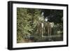 African Elephant (Loxodonta Africana), Zambia, Africa-Janette Hill-Framed Premium Photographic Print