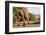 African elephant (Loxodonta africana), Zimanga game reserve, KwaZulu-Natal-Ann and Steve Toon-Framed Photographic Print