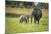 African Elephant (Loxodonta) Mother and Calf, South Luangwa National Park, Zambia, Africa-Janette Hill-Mounted Photographic Print