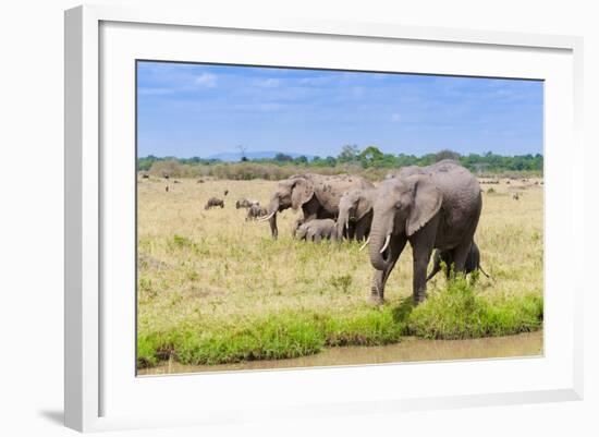 African elephant, Maasai Mara National Reserve, Kenya-Nico Tondini-Framed Photographic Print