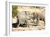 African elephant , Mapungubwe Nat'l Park, UNESCO World Heritage Site, Limpopo, South Africa, Africa-Christian Kober-Framed Photographic Print