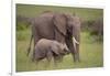 African Elephant Mother and Calf in Grass-DLILLC-Framed Photographic Print