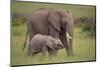 African Elephant Mother and Calf in Grass-DLILLC-Mounted Photographic Print