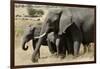 African Elephant Mother and Calves-Hal Beral-Framed Photographic Print