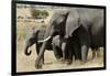 African Elephant Mother and Calves-Hal Beral-Framed Photographic Print