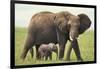 African Elephant Mother and Young in Grass-DLILLC-Framed Photographic Print