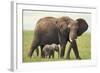 African Elephant Mother and Young in Grass-DLILLC-Framed Photographic Print