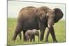 African Elephant Mother and Young in Grass-DLILLC-Mounted Photographic Print