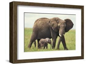 African Elephant Mother and Young in Grass-DLILLC-Framed Photographic Print