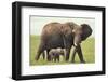 African Elephant Mother and Young in Grass-DLILLC-Framed Photographic Print