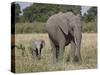 African Elephant Mother and Young, Masai Mara National Reserve-James Hager-Stretched Canvas