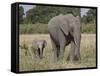 African Elephant Mother and Young, Masai Mara National Reserve-James Hager-Framed Stretched Canvas