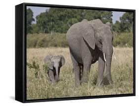 African Elephant Mother and Young, Masai Mara National Reserve-James Hager-Framed Stretched Canvas