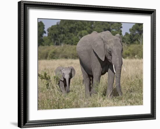 African Elephant Mother and Young, Masai Mara National Reserve-James Hager-Framed Photographic Print