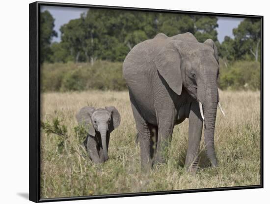 African Elephant Mother and Young, Masai Mara National Reserve-James Hager-Framed Photographic Print