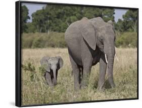 African Elephant Mother and Young, Masai Mara National Reserve-James Hager-Framed Photographic Print