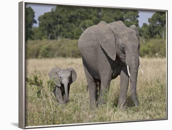 African Elephant Mother and Young, Masai Mara National Reserve-James Hager-Framed Photographic Print