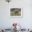 African Elephant Mother and Young, Masai Mara National Reserve-James Hager-Framed Photographic Print displayed on a wall