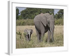 African Elephant Mother and Young, Masai Mara National Reserve-James Hager-Framed Photographic Print