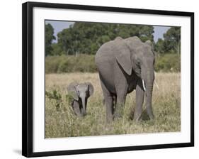 African Elephant Mother and Young, Masai Mara National Reserve-James Hager-Framed Photographic Print