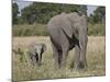 African Elephant Mother and Young, Masai Mara National Reserve-James Hager-Mounted Photographic Print