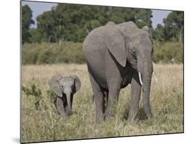African Elephant Mother and Young, Masai Mara National Reserve-James Hager-Mounted Photographic Print
