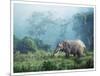 African elephant, Ngorongoro Crater, Tanzania-Frank Krahmer-Mounted Art Print