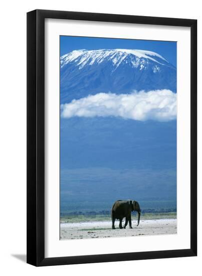 Photographic Print, , large