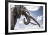 African elephant, one of only a few 'super tuskers', Kenya-Wim van den Heever-Framed Photographic Print