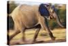 African Elephant Running-null-Stretched Canvas