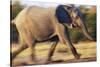 African Elephant Running-null-Stretched Canvas