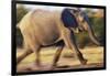 African Elephant Running-null-Framed Photographic Print