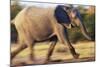 African Elephant Running-null-Mounted Photographic Print