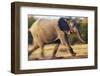 African Elephant Running-null-Framed Photographic Print